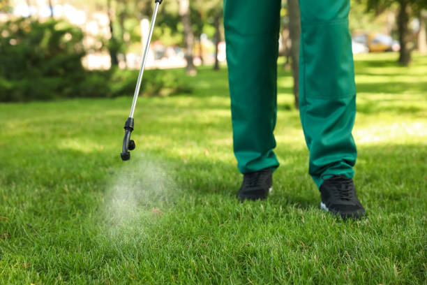 Flea Control Services in Centennial, CO