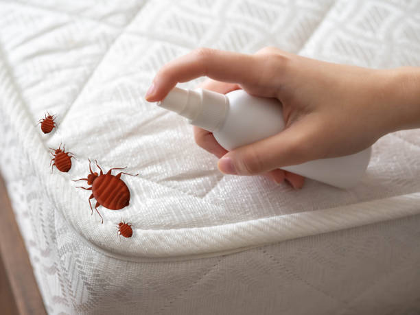 Best Pest Prevention Services  in Centennial, CO