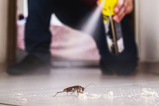 Best Pest Control Near Me  in Centennial, CO